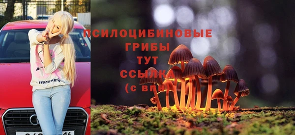 ECSTASY Пересвет