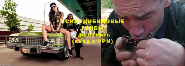 ECSTASY Пересвет