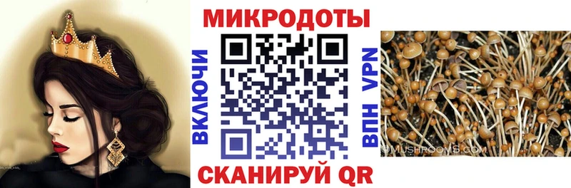 Купить где  Дятьково  Галлюциногенные грибы Magic Shrooms 