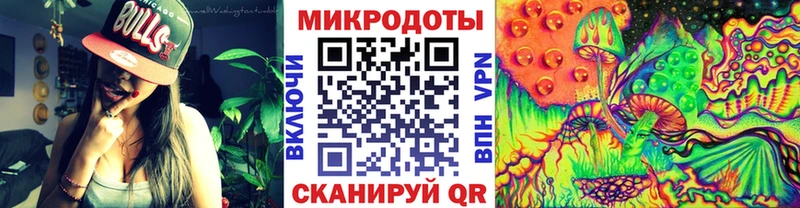 Псилоцибиновые грибы Psilocybe Дятьково
